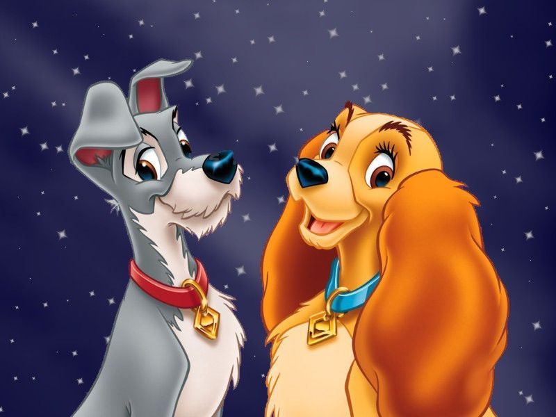 Fond D'écran La Belle Et Le Clochard fonds d ecran disney